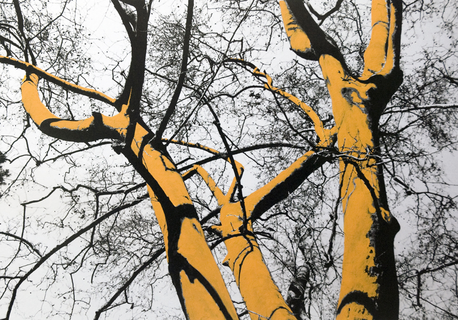 Come alberi - Carla Cacianti