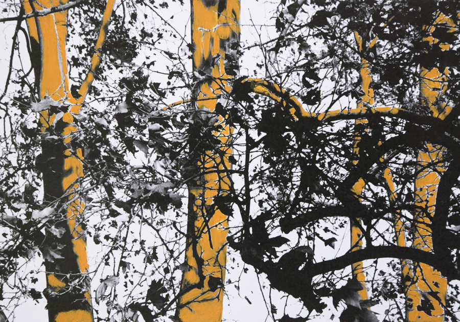 Come alberi - Carla Cacianti