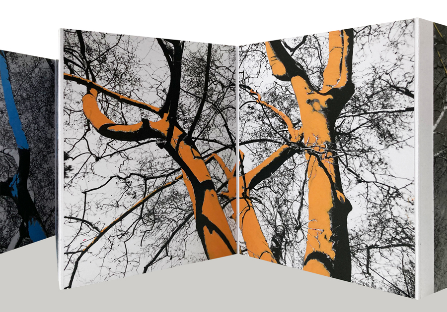 Come alberi - Carla Cacianti