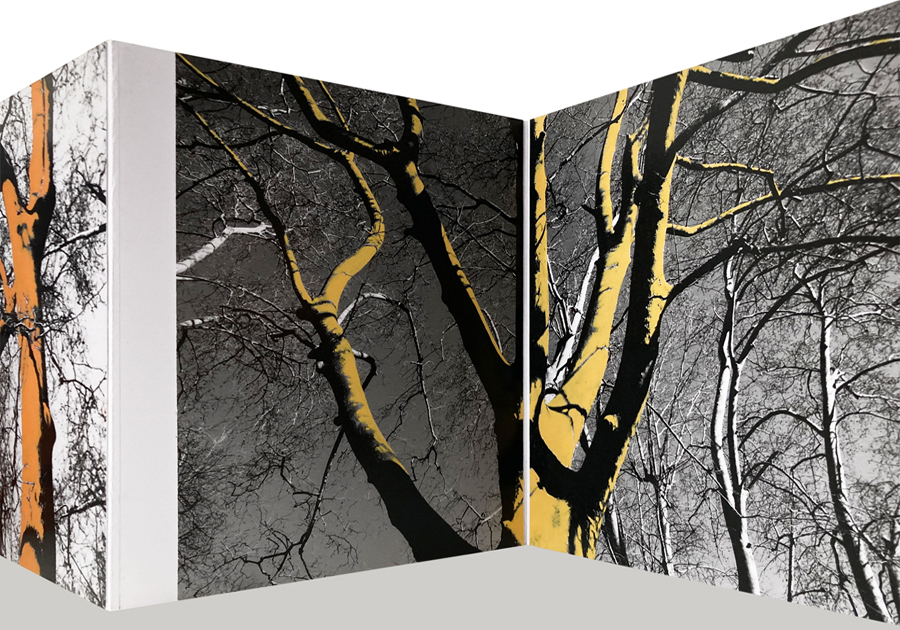 Come alberi - Carla Cacianti