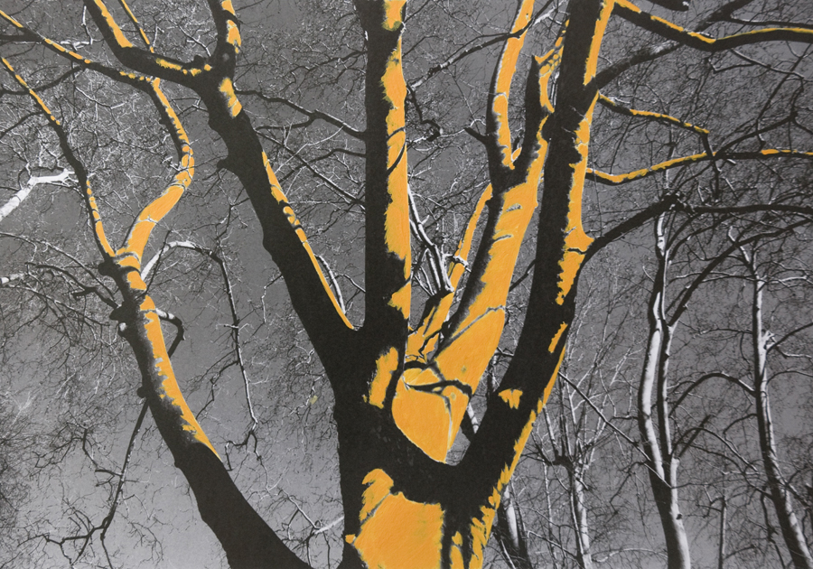 Come alberi - Carla Cacianti